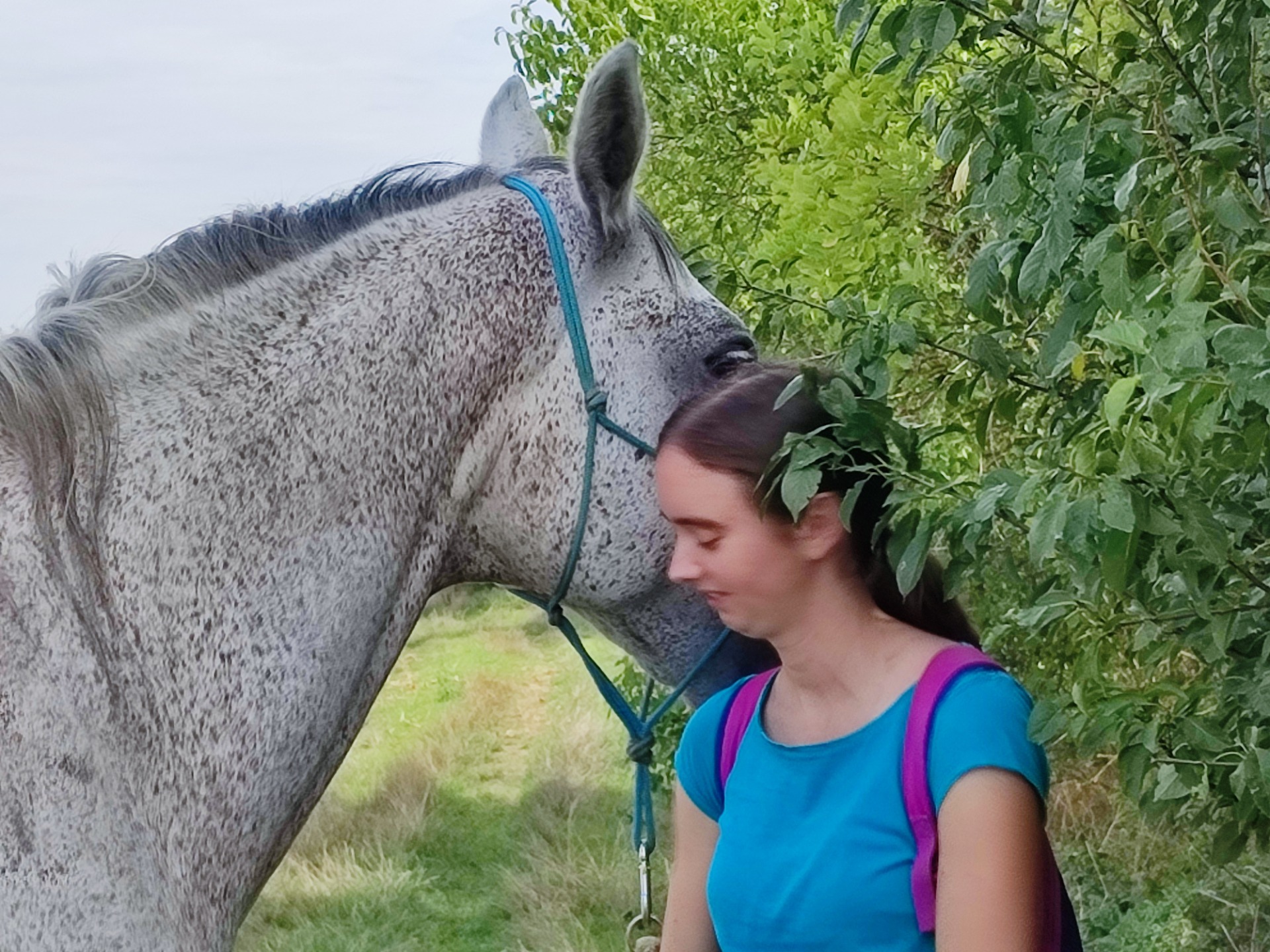 Szürke ló gyengéden hajol a fiatal nőhöz, közös jelenlétben – a lovazás átmosó, gyógyító erejét kifejezve